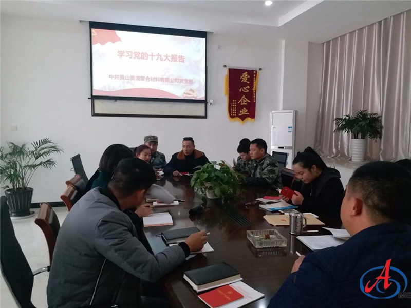 公司組織全體黨員學習十九大精神